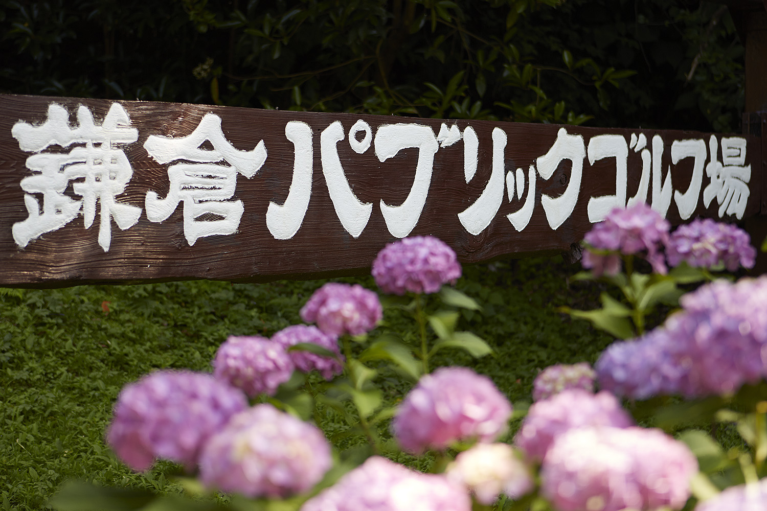 横浜から電車で行けるゴルフ場をお探しなら鎌倉パブリックゴルフ場へ 鎌倉パブリックゴルフ場
